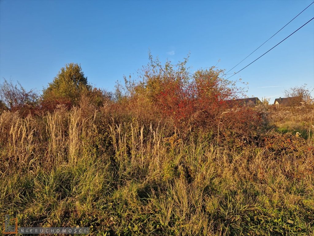 Działka budowlana na sprzedaż Owczary  1 698m2 Foto 2