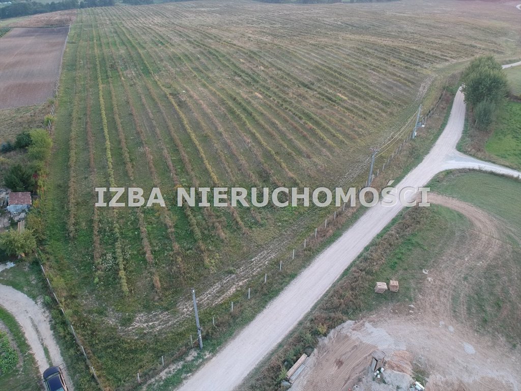 Działka budowlana na sprzedaż Chruściele  3 000m2 Foto 2