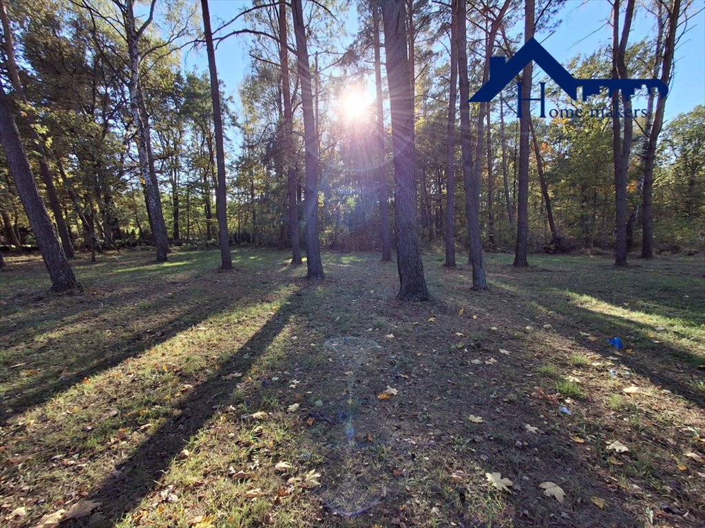 Działka budowlana na sprzedaż Baniocha, Szkolna  3 800m2 Foto 3