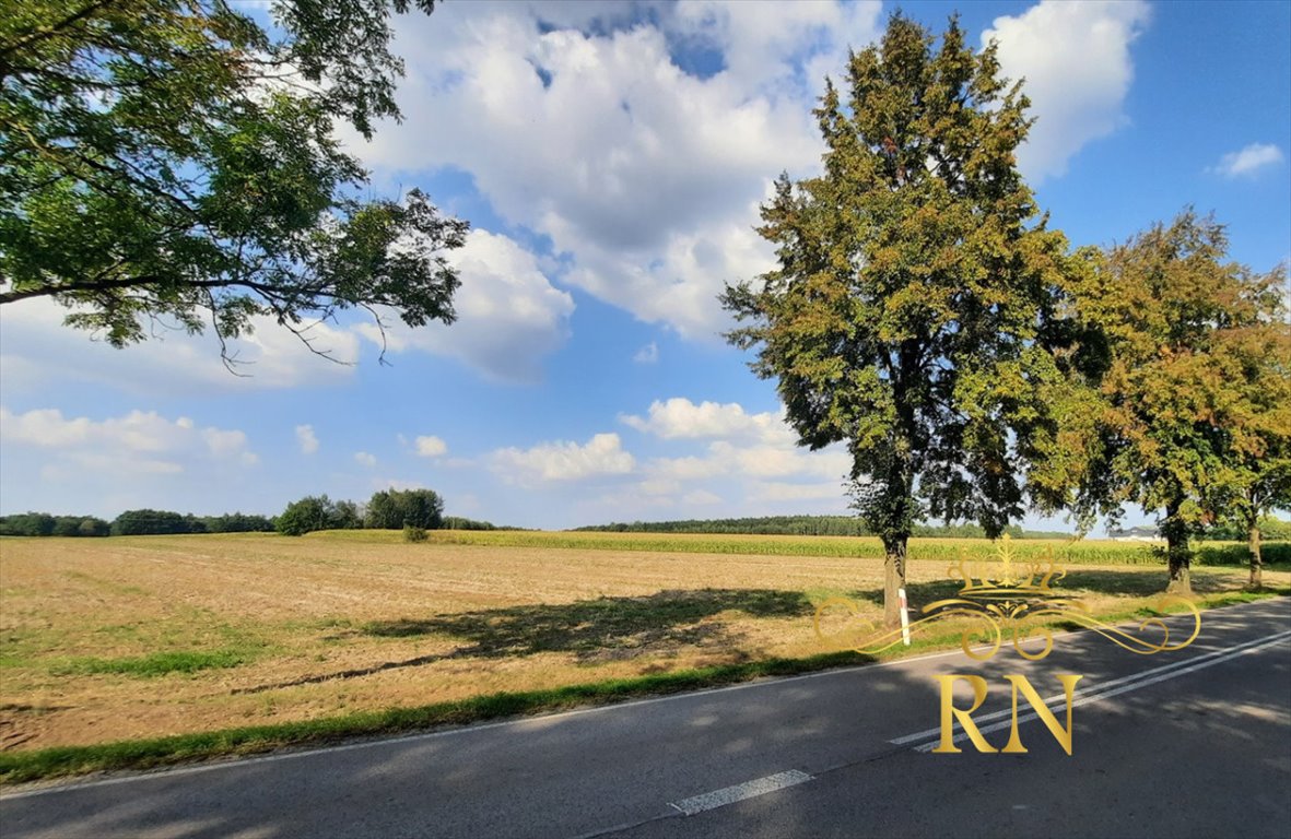 Działka rolna na sprzedaż Rudno  8 100m2 Foto 1