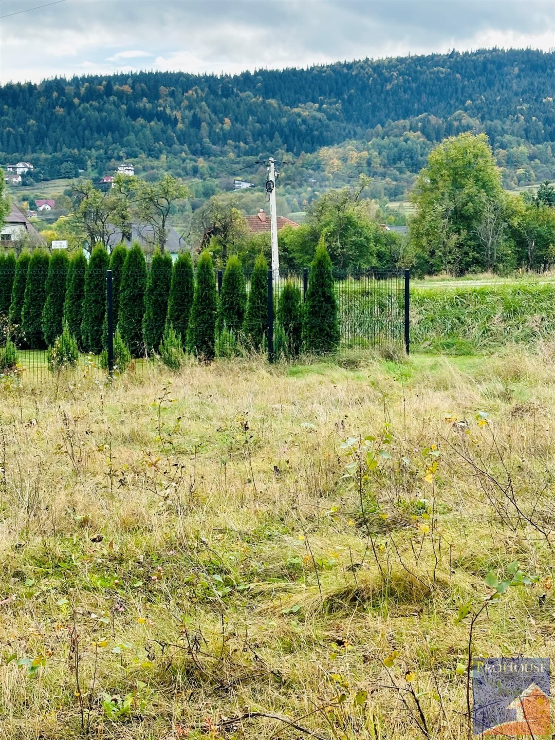 Działka budowlana na sprzedaż Kamienica  1 000m2 Foto 5