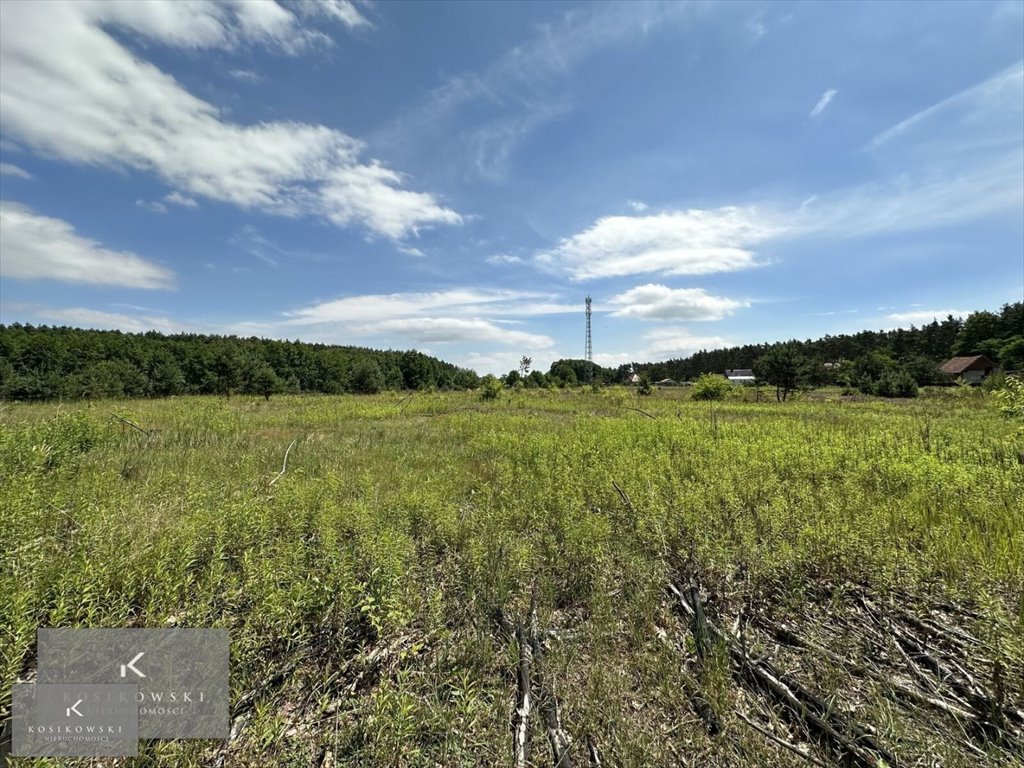 Działka inna na sprzedaż Namysłów, Nowe Smarchowice- Stanek  1 000m2 Foto 9