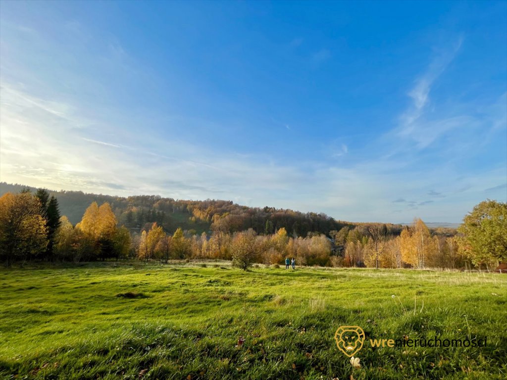 Działka budowlana na sprzedaż Krobica  9 929m2 Foto 11