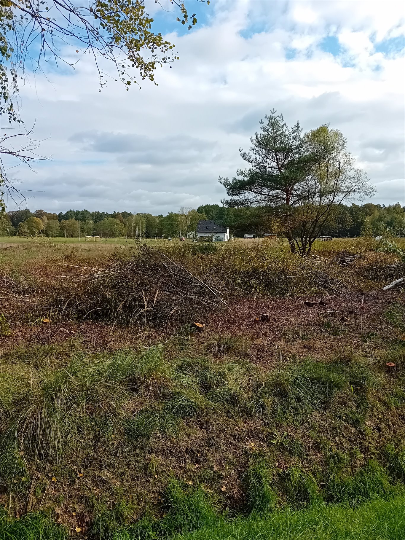 Działka budowlana na sprzedaż Tworóg Mały, Brzozowa  600m2 Foto 2