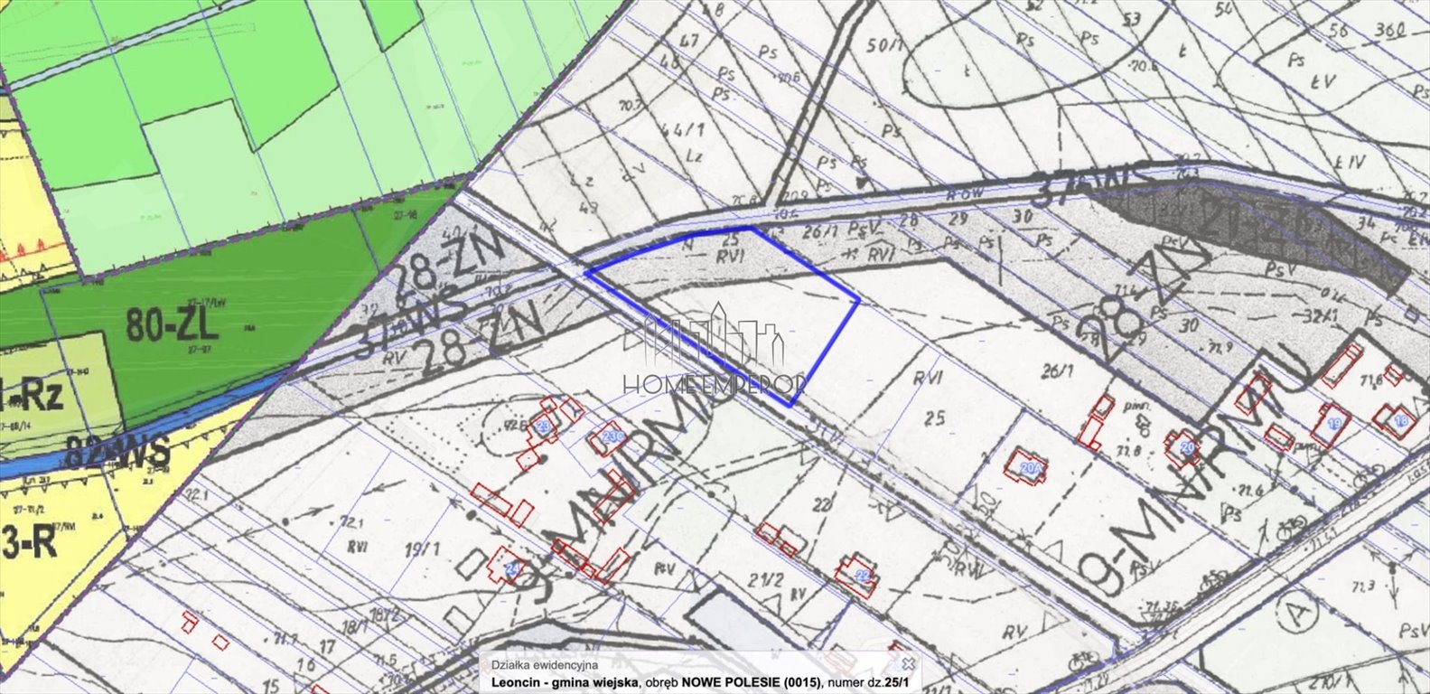 Działka budowlana na sprzedaż Nowe Polesie  3 950m2 Foto 1