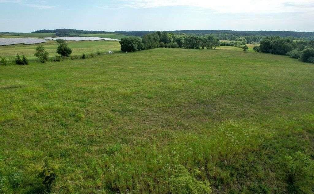 Działka rolna na sprzedaż Straduny  3 000m2 Foto 19