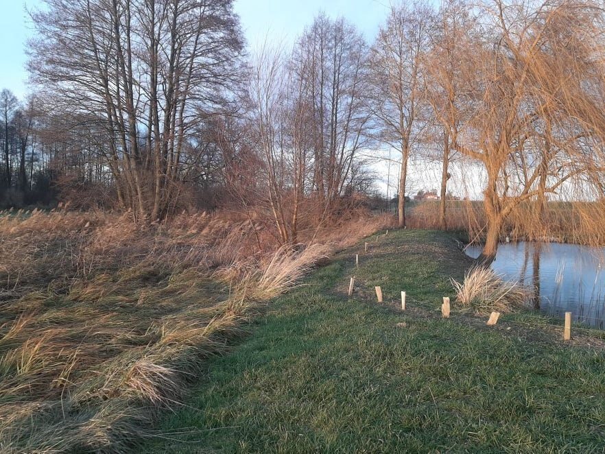 Działka inna na sprzedaż Dziadkowice  3 100m2 Foto 2