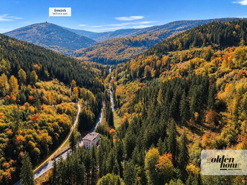 Na sprzedaż działka 1,94 ha z historycznymi budynkami w Kletnie Kletno, droga na Śnieżnik, Jasnkinia Niedźwiedzia  19 400m2 Foto 1