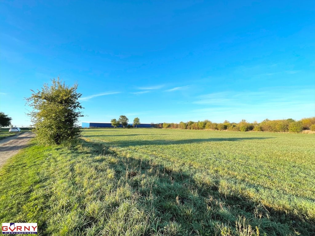 Działka inna na sprzedaż Piotrków Trybunalski  6 377m2 Foto 6