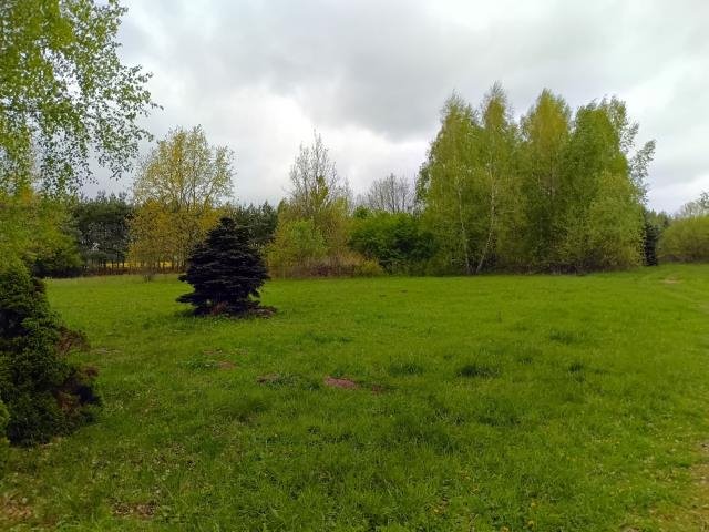 Działka rolna 5,88 ha z stawem i potencjałem rekreacyjnym Smogorzewo Pańskie  58 800m2 Foto 1