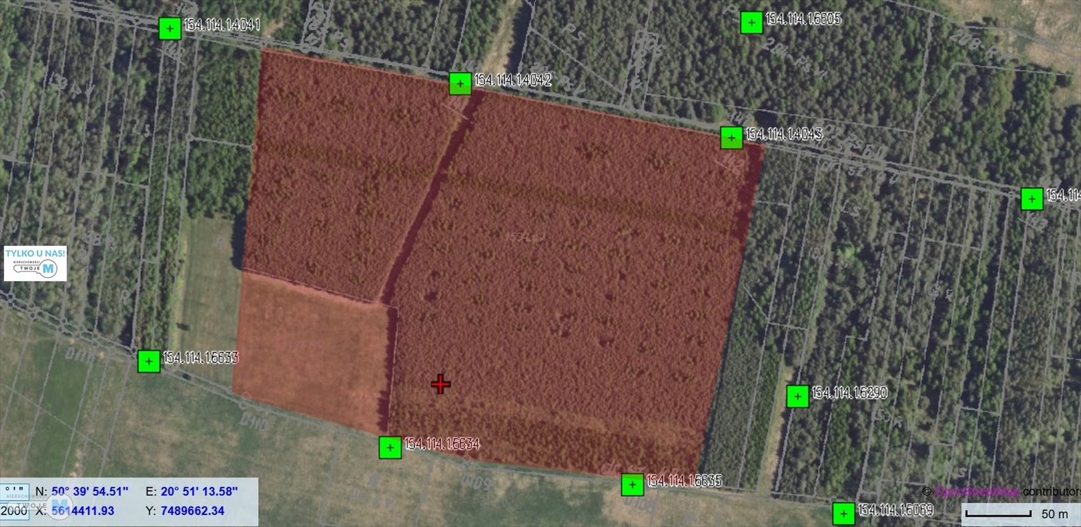 Działka rolno-leśna 10,62 ha z lasem i łąką w Pierzchnicy Pierzchnica, Drugnia  106 000m2 Foto 1