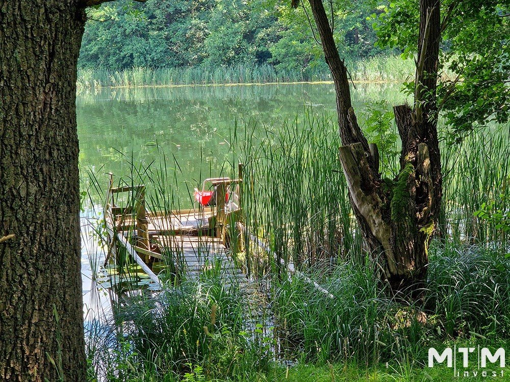 Działka rolna na sprzedaż Dolice  3 003m2 Foto 10