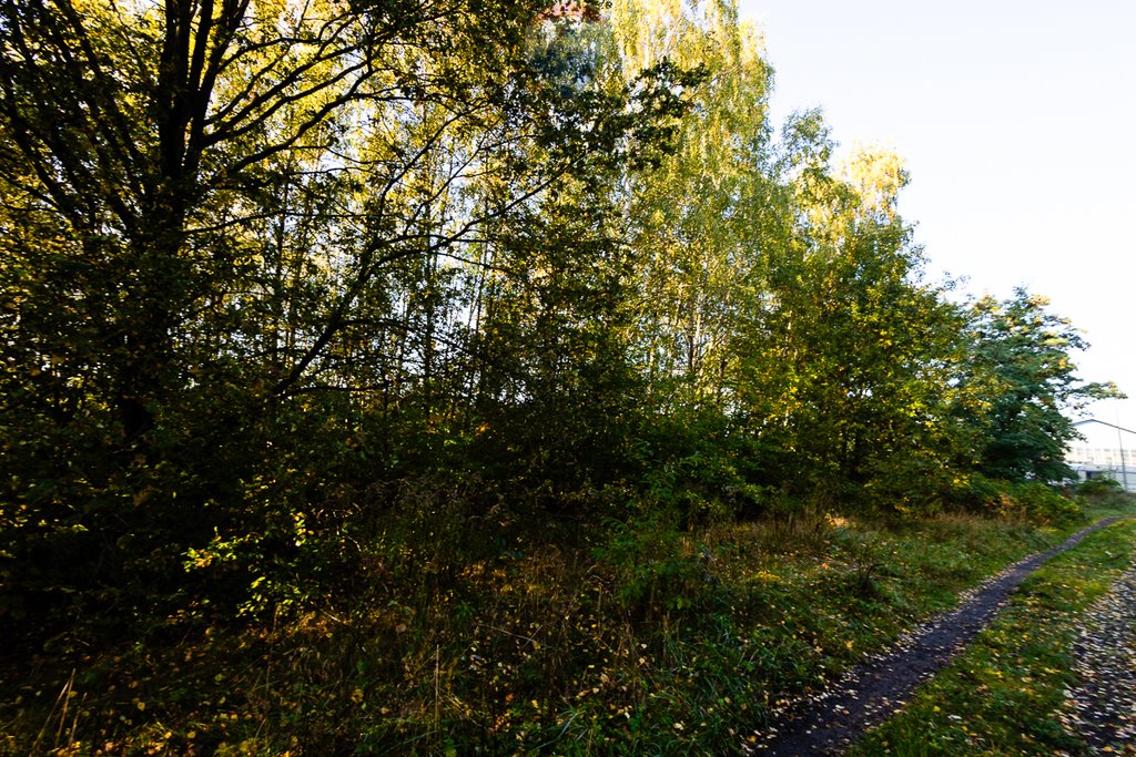 Działka rolna na sprzedaż Łódź, Polesie  1 641m2 Foto 18