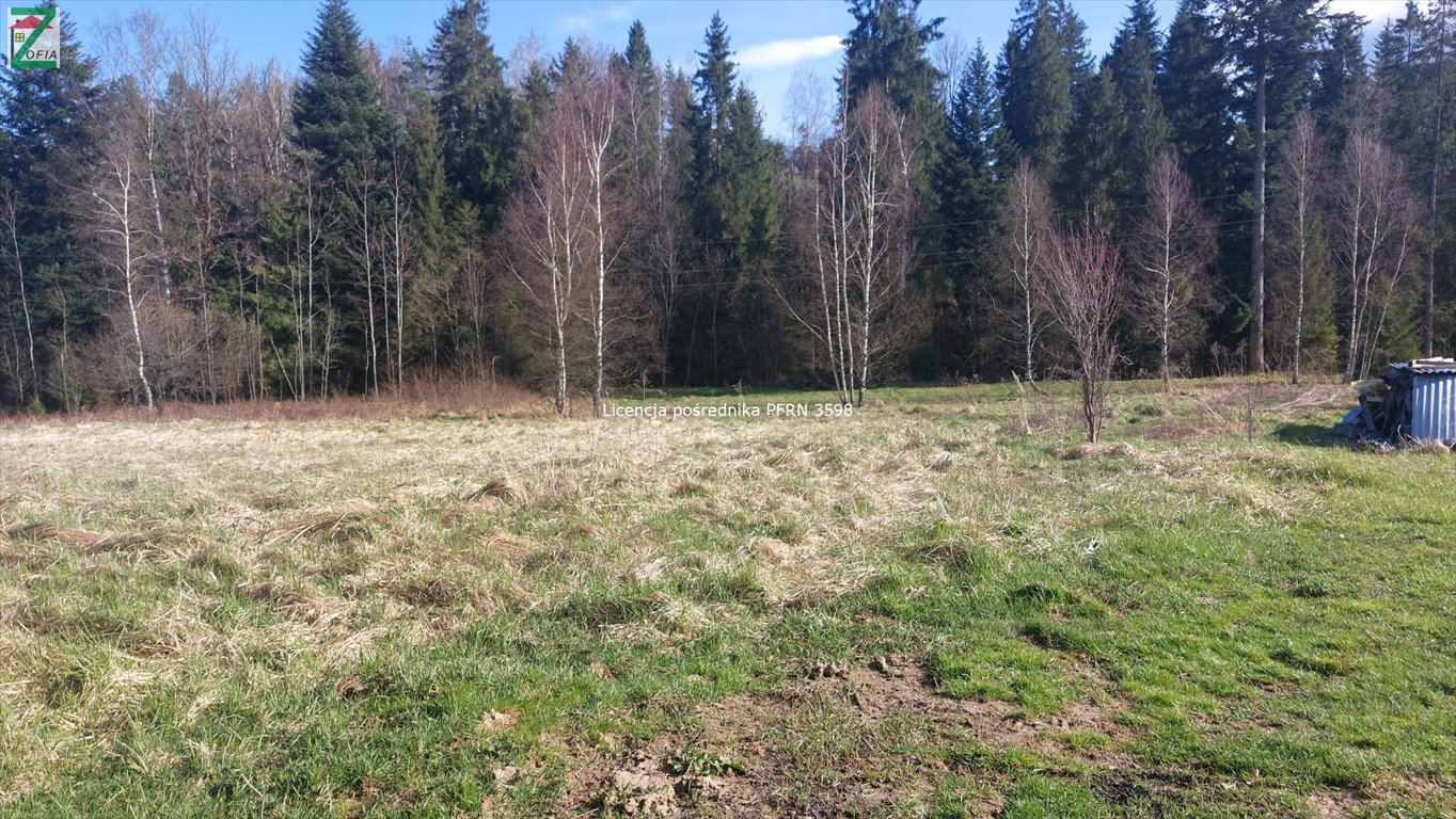 Działka budowlana na sprzedaż JORDANÓW  894m2 Foto 2