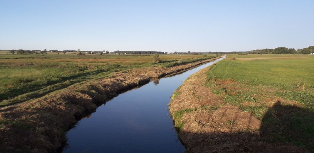 Działka rekreacyjna na sprzedaż Boguszewo  7 400m2 Foto 1