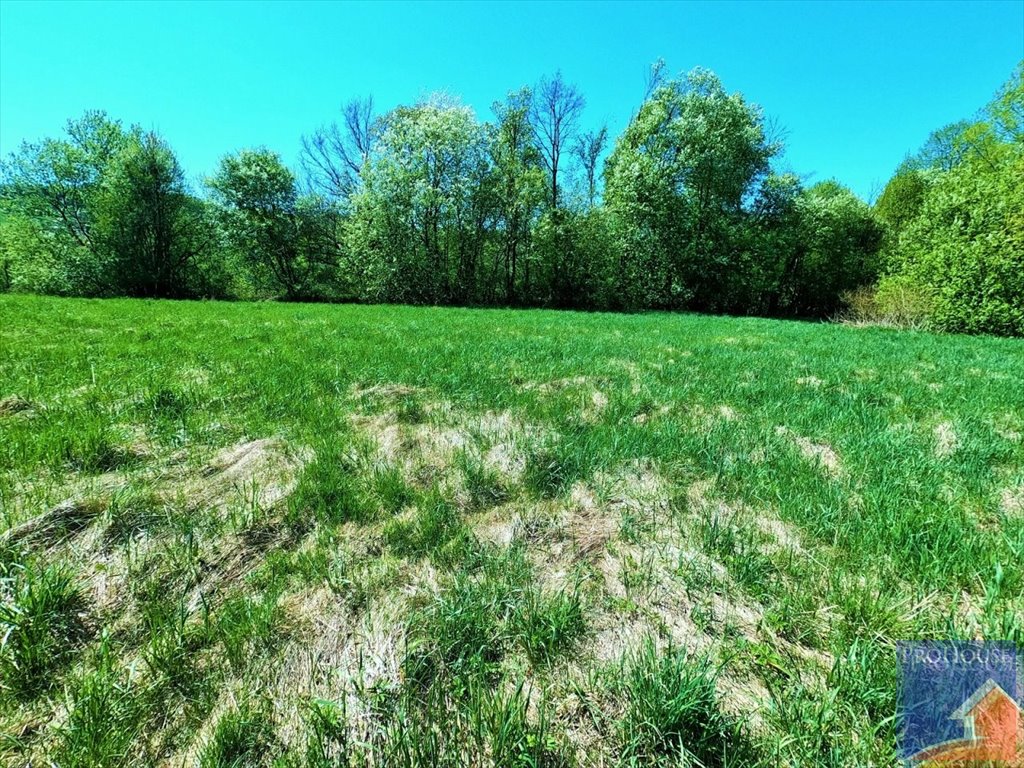 Działka budowlana na sprzedaż Mordarka  2 600m2 Foto 9