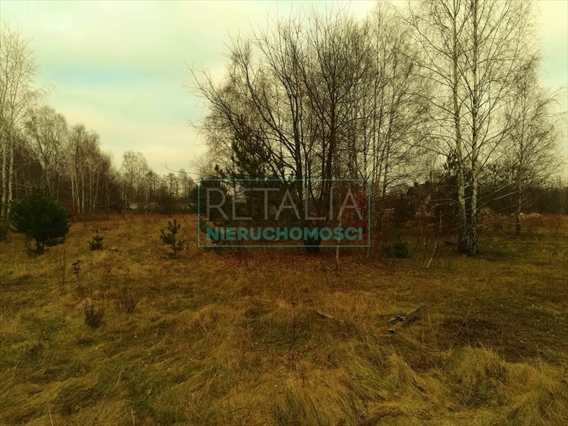 Działka 2123 m² w Jaktorowie-Kolonii, cicha okolica Jaktorów-Kolonia  2 123m2 Foto 1