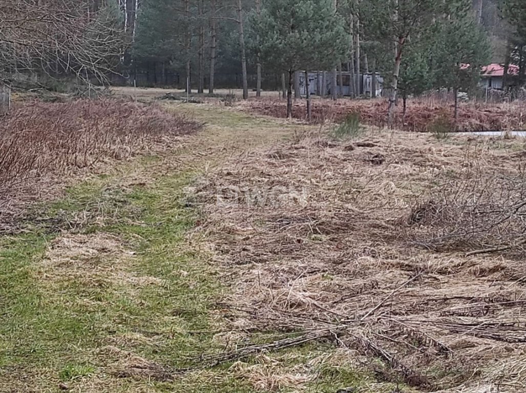 Działka budowlana na sprzedaż Prusicko, Rzędowie, Rzędowie  21 227m2 Foto 9