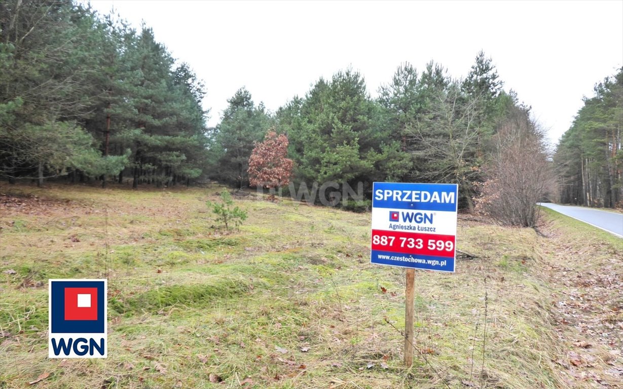 Działka bud.-rolna 9870 m² z mediami, las, blisko Olsztyna Skrajnica, Księżycowa  9 870m2 Foto 1