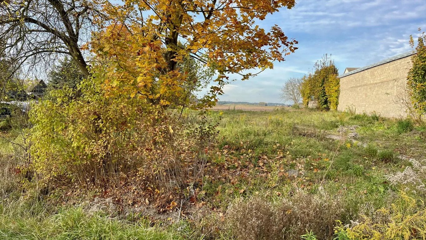 Działka budowlana na sprzedaż Suków, Sukowska 0  1 000m2 Foto 5