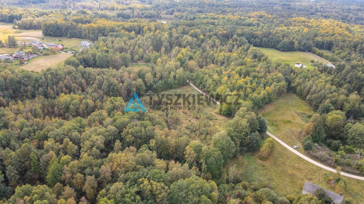 Działka budowlana na sprzedaż Skrzeszewo Żukowskie, Leśna  11 811m2 Foto 5