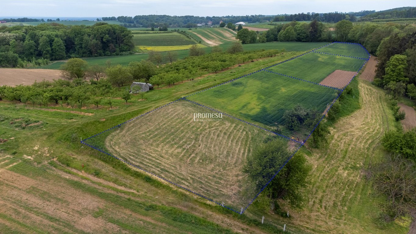 Działka inna na sprzedaż Taczów Wielki, Malinowa  1 176m2 Foto 4