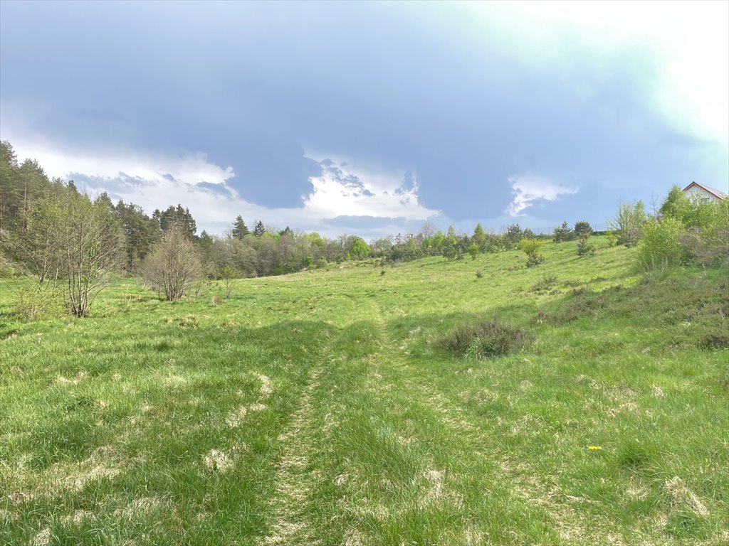 Działka budowlana na sprzedaż Koleczkowo, Bitwy Nad Ślężą  2 551m2 Foto 8