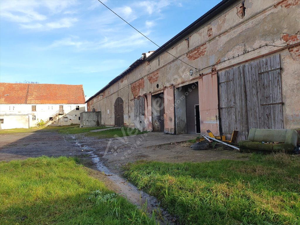 Lokal użytkowy na sprzedaż Szczepanów  3 000m2 Foto 8