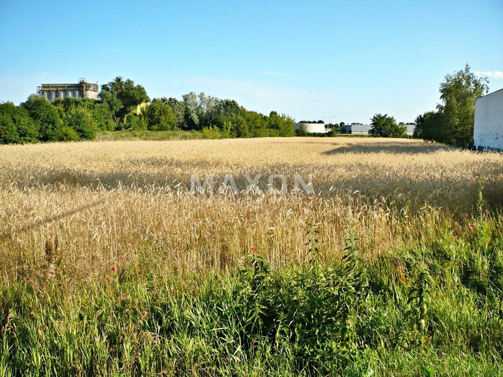 Działka budowlana na sprzedaż Płońsk  7 016m2 Foto 17