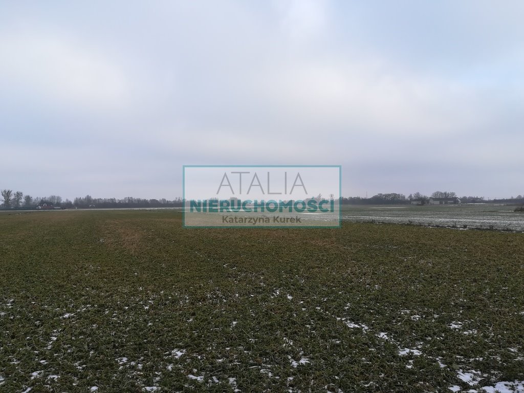 Sprzedam działkę 2,2 ha z wodą w okolicach Błonia Żaby  22 000m2 Foto 1