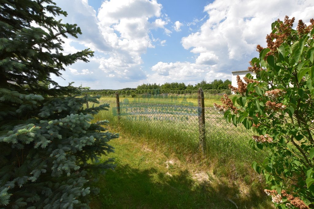 Działka siedliskowa na sprzedaż Pęcław  10 700m2 Foto 1