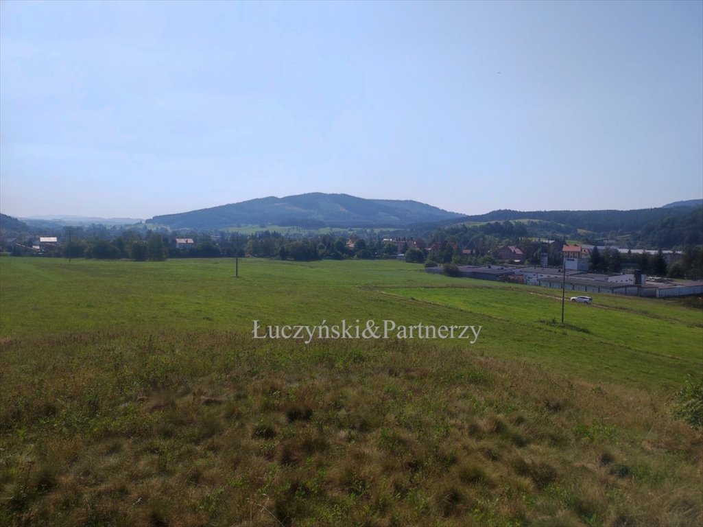 Działka budowlana na sprzedaż Marciszów  1 495m2 Foto 1