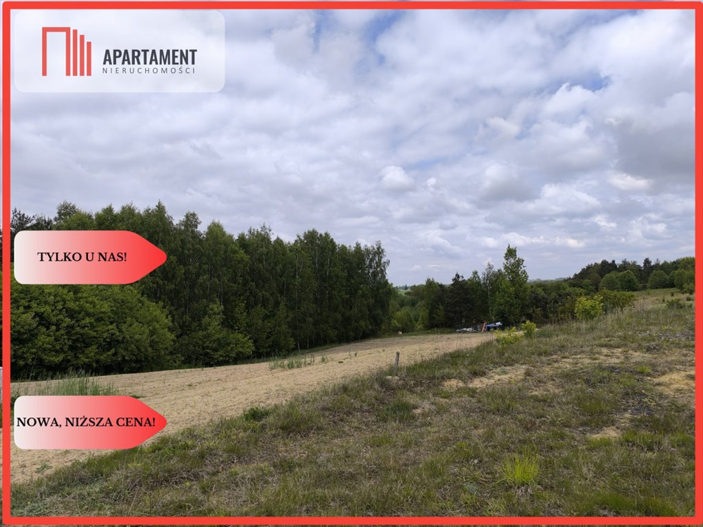 Działka 1502 m² w Dylewie – cisza, las, wędkarstwo Dylewo  1 502m2 Foto 1