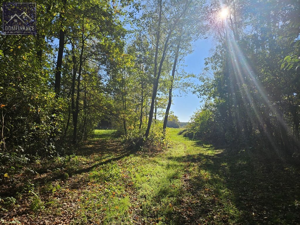 Działka inna na sprzedaż Dąbrowa Tarnowska  29 500m2 Foto 8