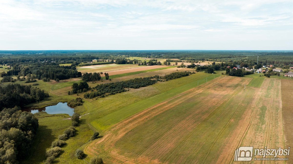 Działka rolna na sprzedaż Czermnica  17 100m2 Foto 5