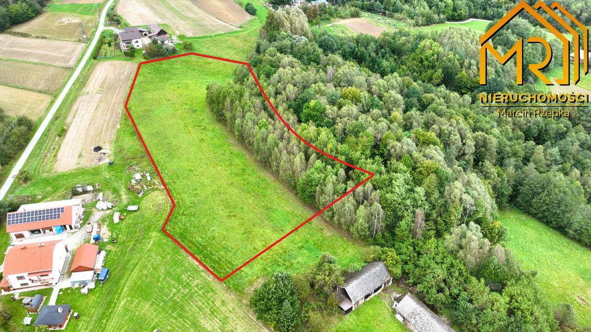 Widokowa działka rolna 1 ha z mediami i lasami Żurowa  10 000m2 Foto 1