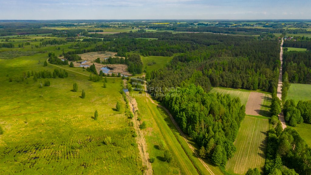 Działka rolna na sprzedaż Cisówka  32 000m2 Foto 17