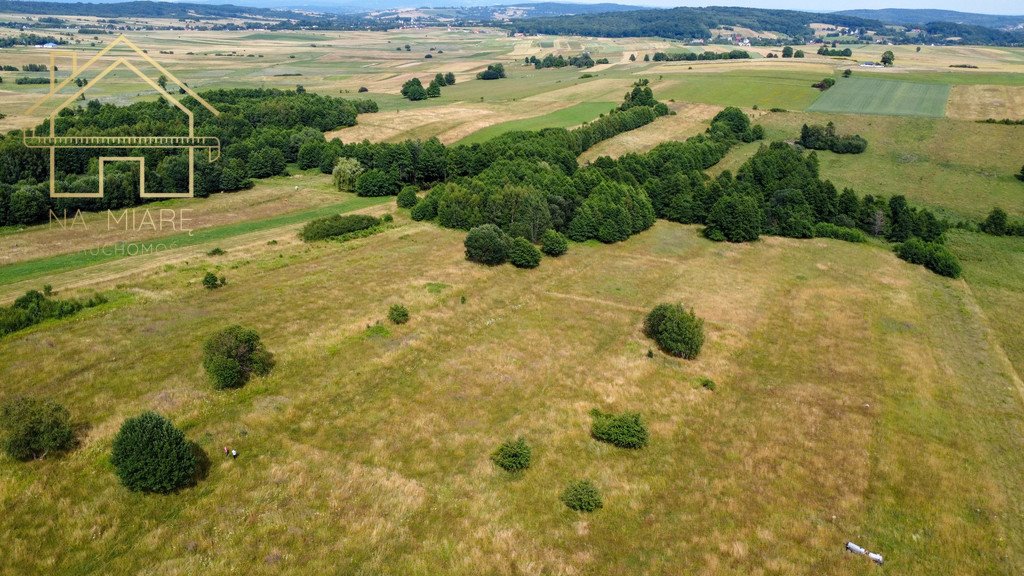 Działka rolna na sprzedaż Łężyny  1 500m2 Foto 3