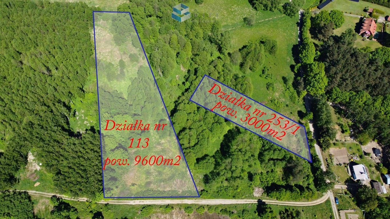 Działka budowlana na sprzedaż Grabin  9 600m2 Foto 8