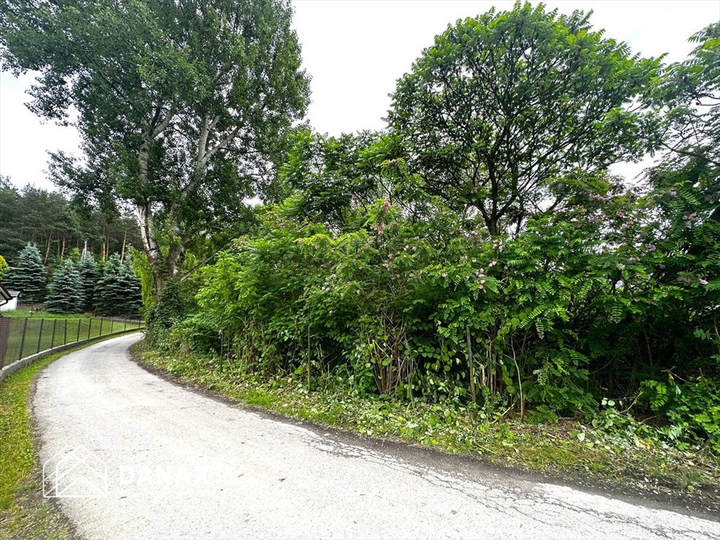 Działka 4898 m² z domem do rozbiórki, las i media Dąbrowa Szlachecka, Wspólna  4 898m2 Foto 1