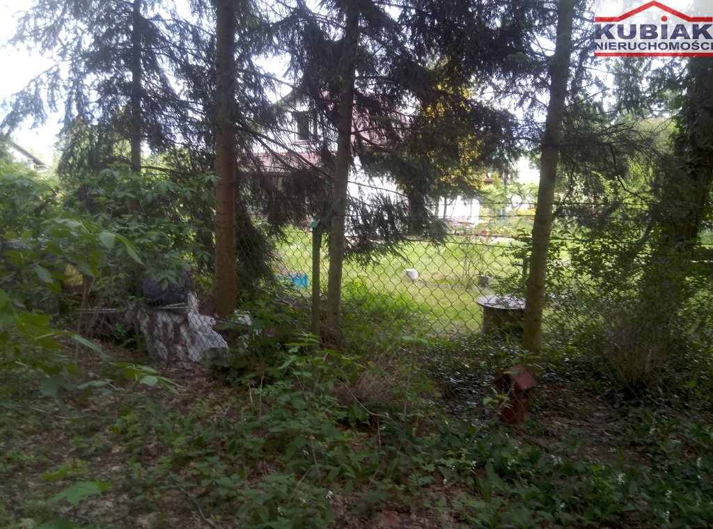 Działka budowlana na sprzedaż Powązki  3 600m2 Foto 4