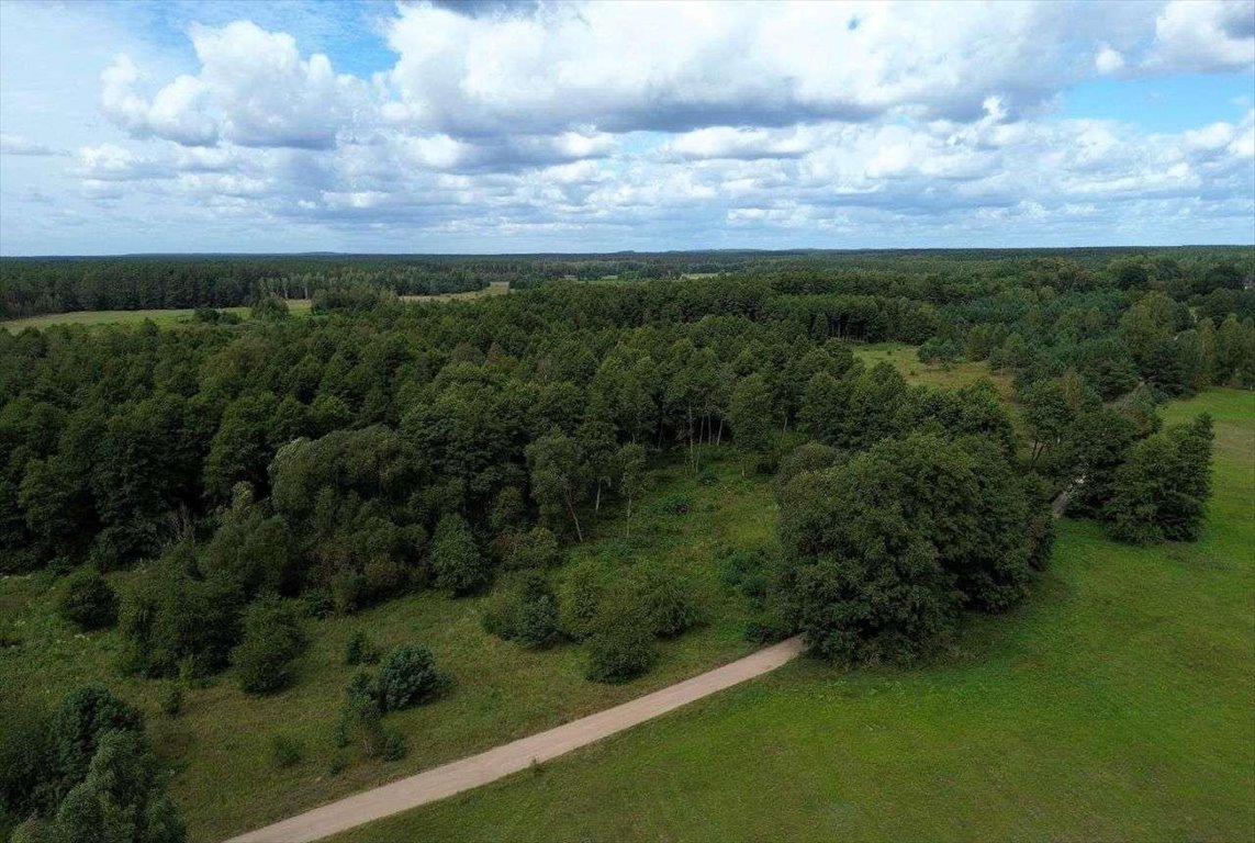 Działka rolna na sprzedaż Rekownica  3 002m2 Foto 9