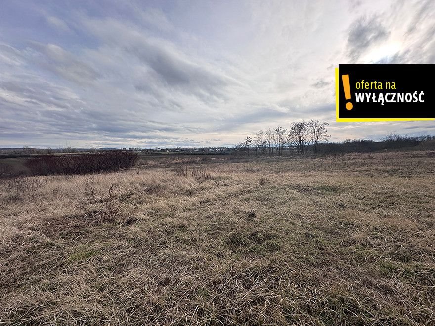 Działka inwestycyjna 1 ha z podziałem i zabudową - polecam! Racibórz  9 652m2 Foto 1