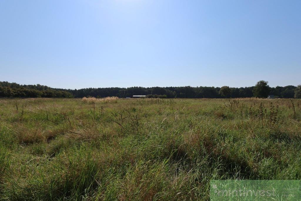 Działka inna na sprzedaż Modrzewie  1 050m2 Foto 2