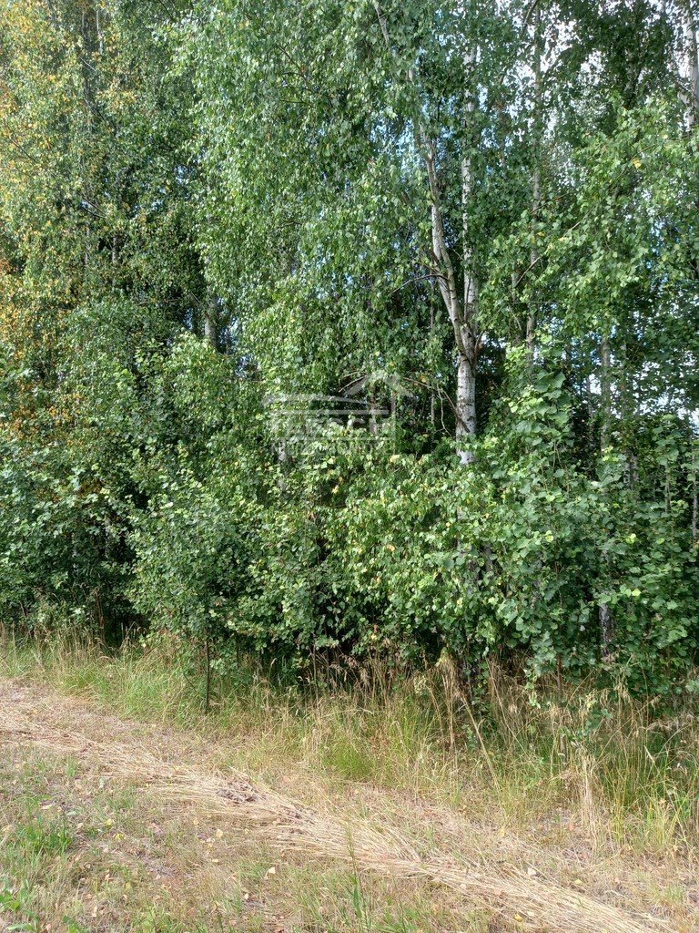 Działka budowlana na sprzedaż Oddział  5 000m2 Foto 9