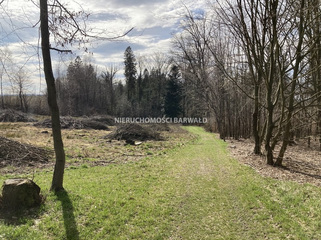 Działka budowlana na sprzedaż Kalwaria Zebrzydowska  16 000m2 Foto 3