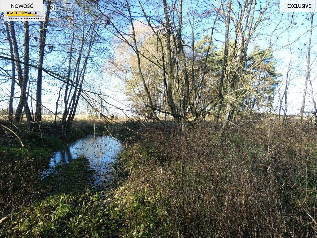 Działka rekreacyjna na sprzedaż Chociwel  3 084m2 Foto 16