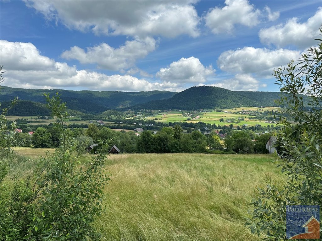 Działka budowlana na sprzedaż Pisarzowa  7 200m2 Foto 17