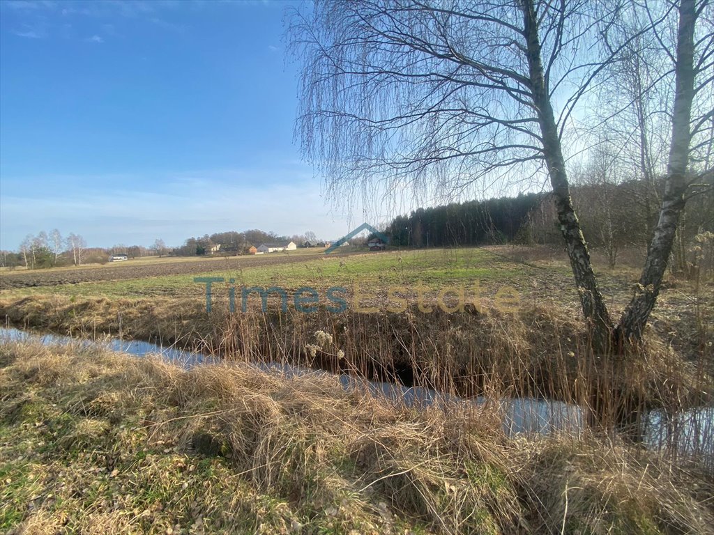 Działka budowlana na sprzedaż Ostrówek  5 700m2 Foto 6