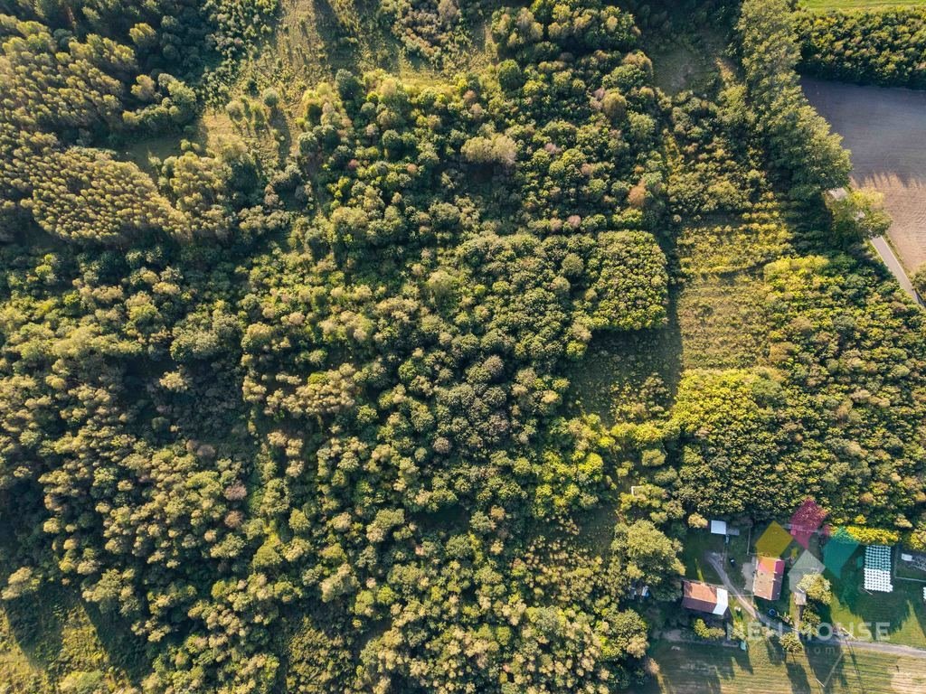 Działka siedliskowa na sprzedaż Spręcowo  5 824m2 Foto 8